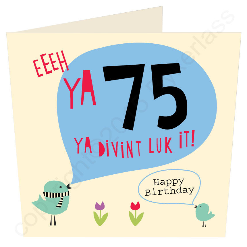 Eeeh Ya 75 Ya Divint Luk It Geordie Mugs Card