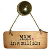 Mam/Mum/Mummy/Mammy in a Million Fab Wooden Sign 