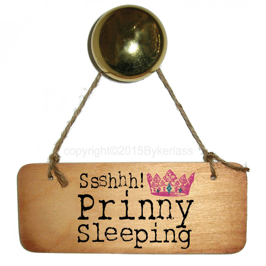 Ssshhh! Prinny Sleeping Rustic Scouse Wooden Sign